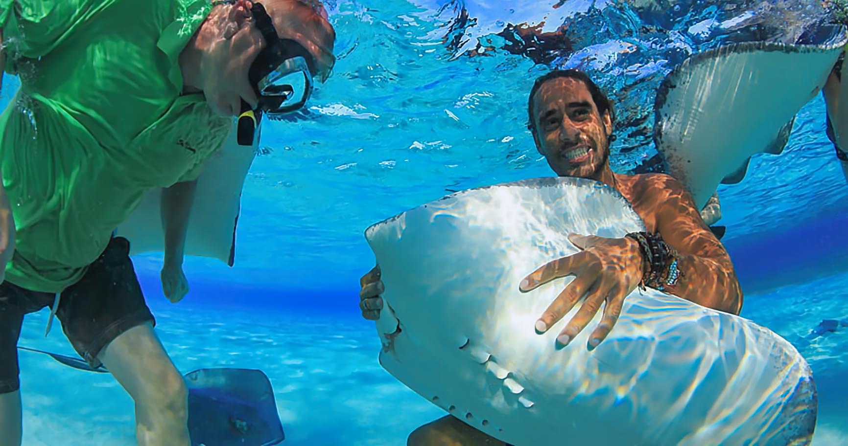 Family feeding stingrays safely, blending fun and education during a top-rated tour
