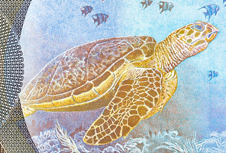 Bank note showcasing the history and cultural significance of the Turtle Sanctuary in Grand Cayman.