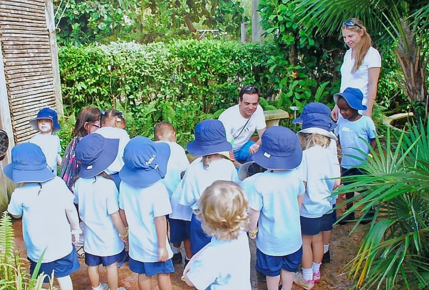 Children learning about turtles, part of an educational program at the Cayman Turtle Center.