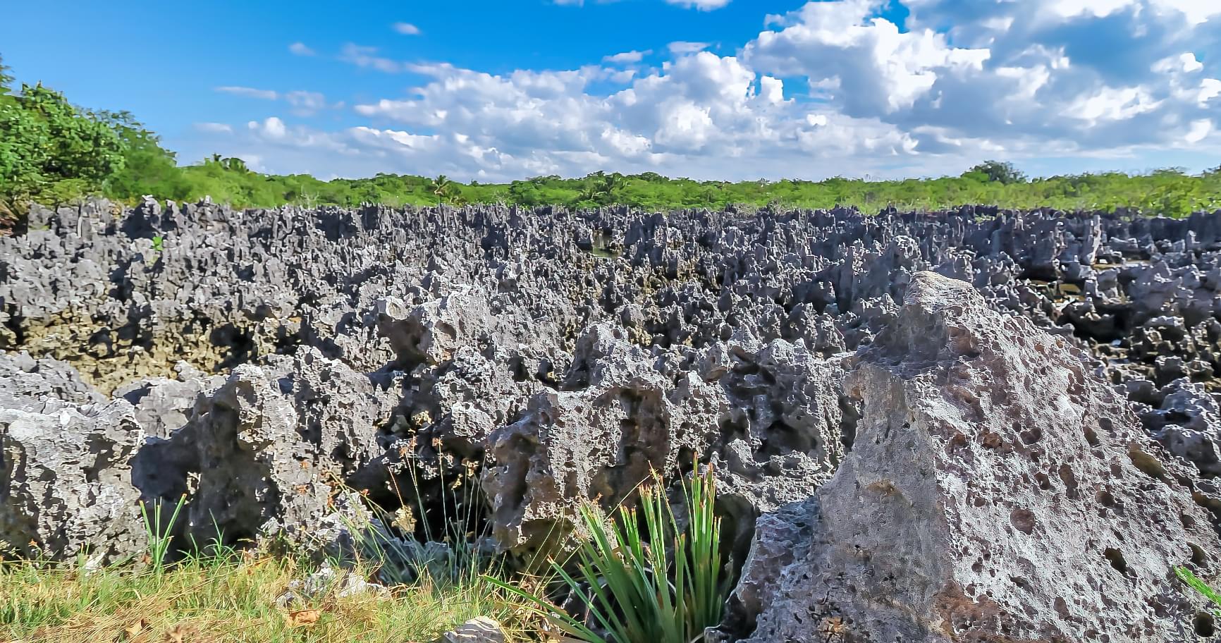 Jagged limestone formations showcasing the unique geology of Hell Cayman Islands