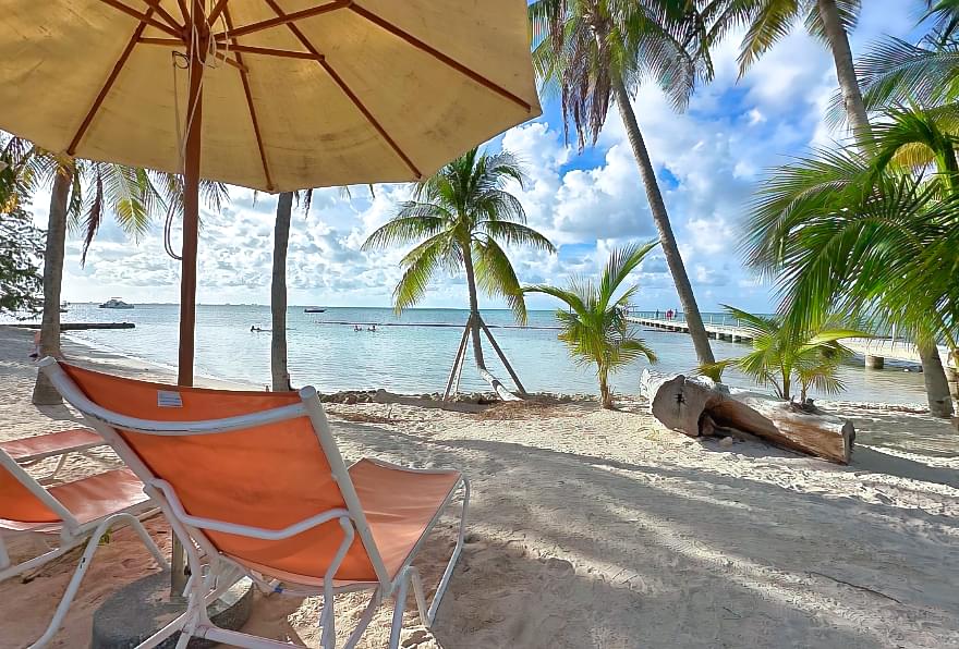 Beach chairs under palm trees at Rum Point Beach, offering a relaxing coastal vibe