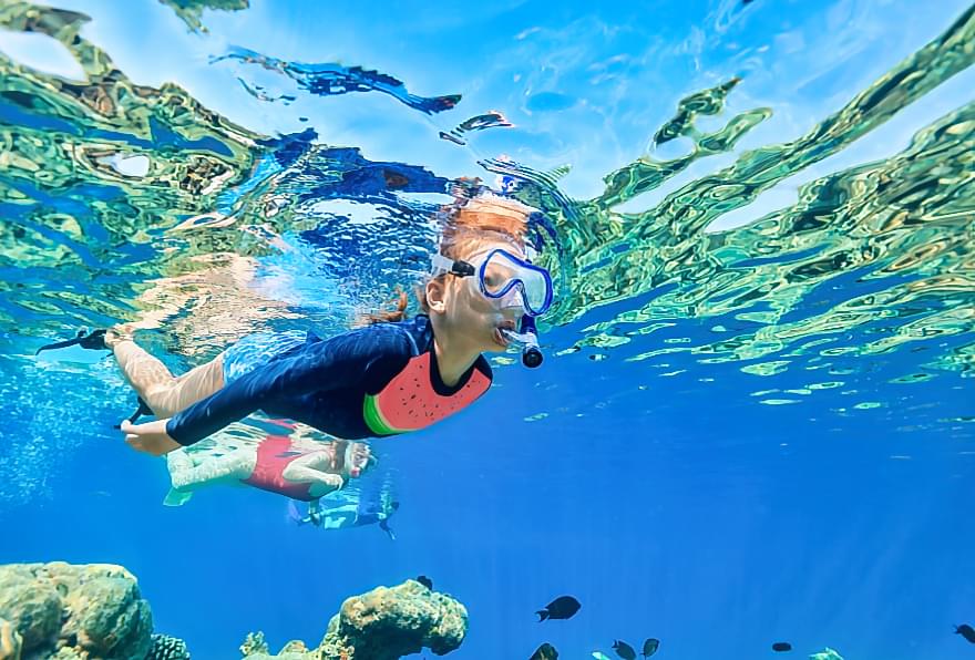 Snorkeler floating above coral reef showcasing snorkeling gear for beginners