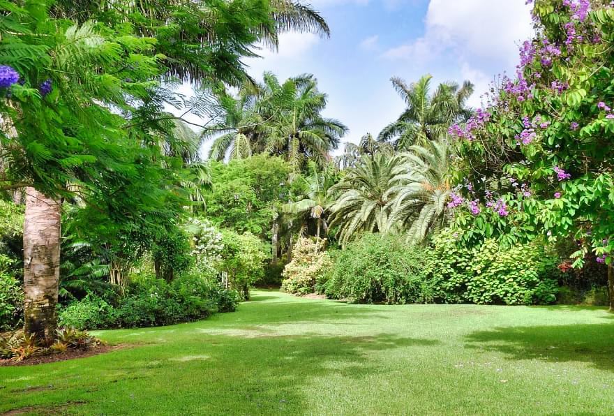 Lush greenery at the Queen Elizabeth II Botanic Park, a serene outdoor wedding venue