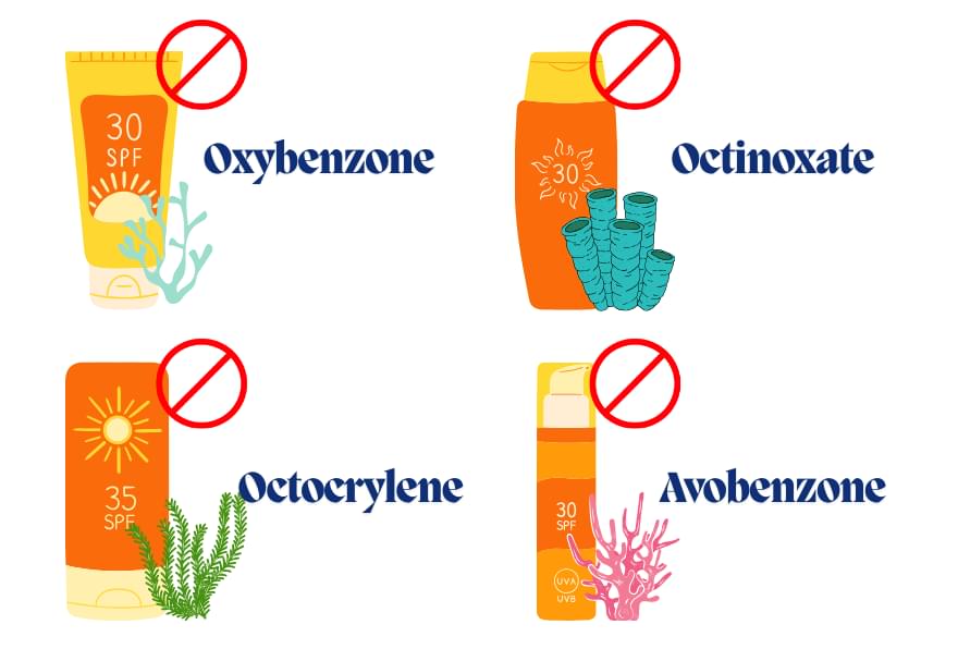 Infographic highlighting harmful chemicals, explaining what makes sunscreen reef safe for marine life
