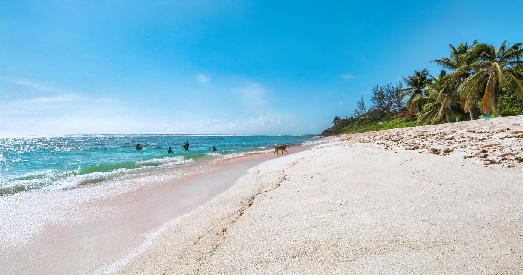 Pristine beach in Grand Cayman hurricane season with calm weather