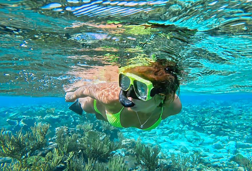 Snorkeler observing coral reefs in clear waters, ideal for marine exploration