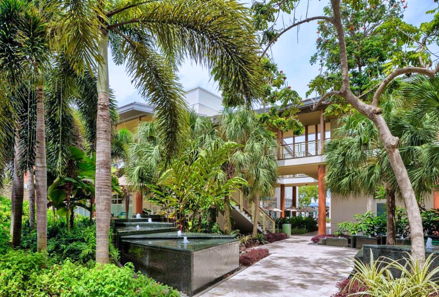 Pathway through lush gardens at Camana Bay, featuring tropical landscaping