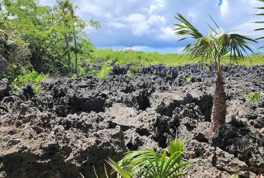 Jagged black limestone formations in Hell are a unique stop in Grand Cayman tourist attractions