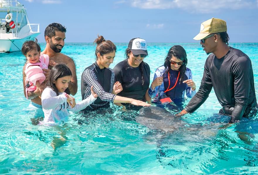 Group interacting with stingrays on a tour, a popular excursion