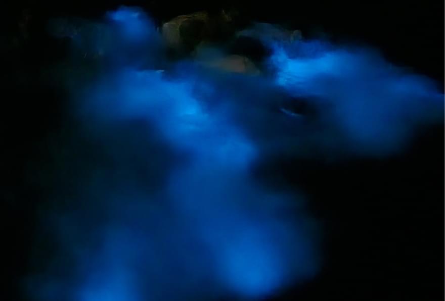 Bioluminescent bay near Rum Point Cayman Islands, glowing with natural light at night