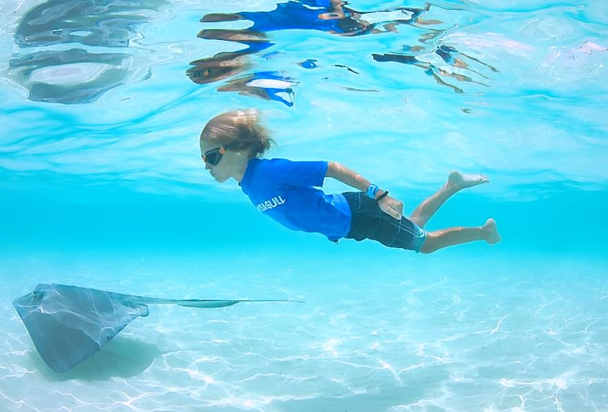child snorkeling underwater near a stingray in shallow clear water