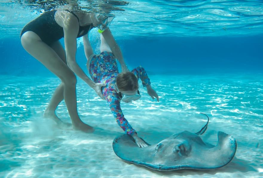 mother helping child swim beside a stingray over white sand