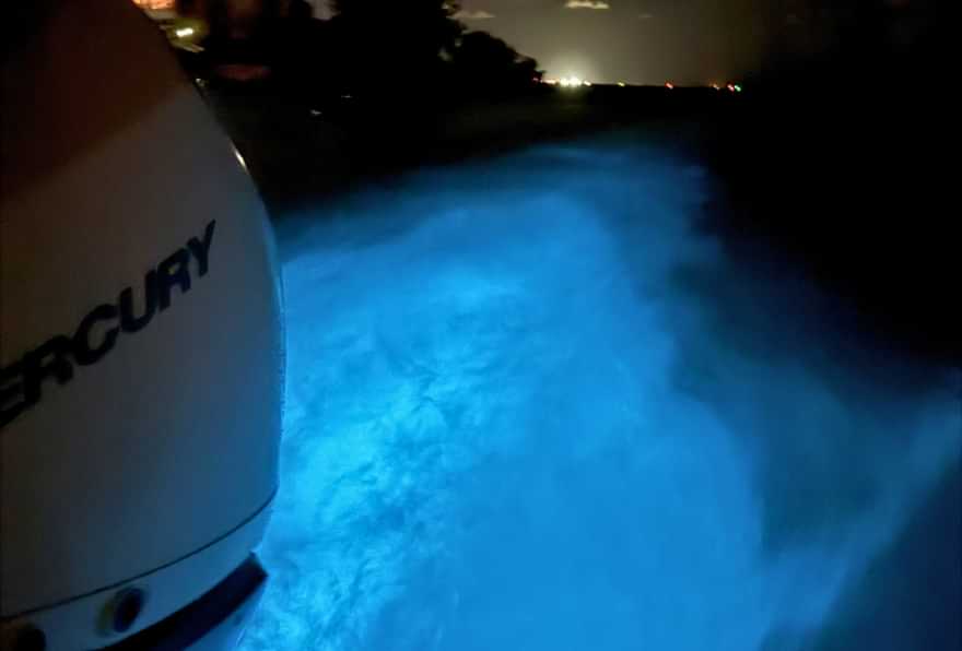 boating through bio bay grand cayman with glowing water trails