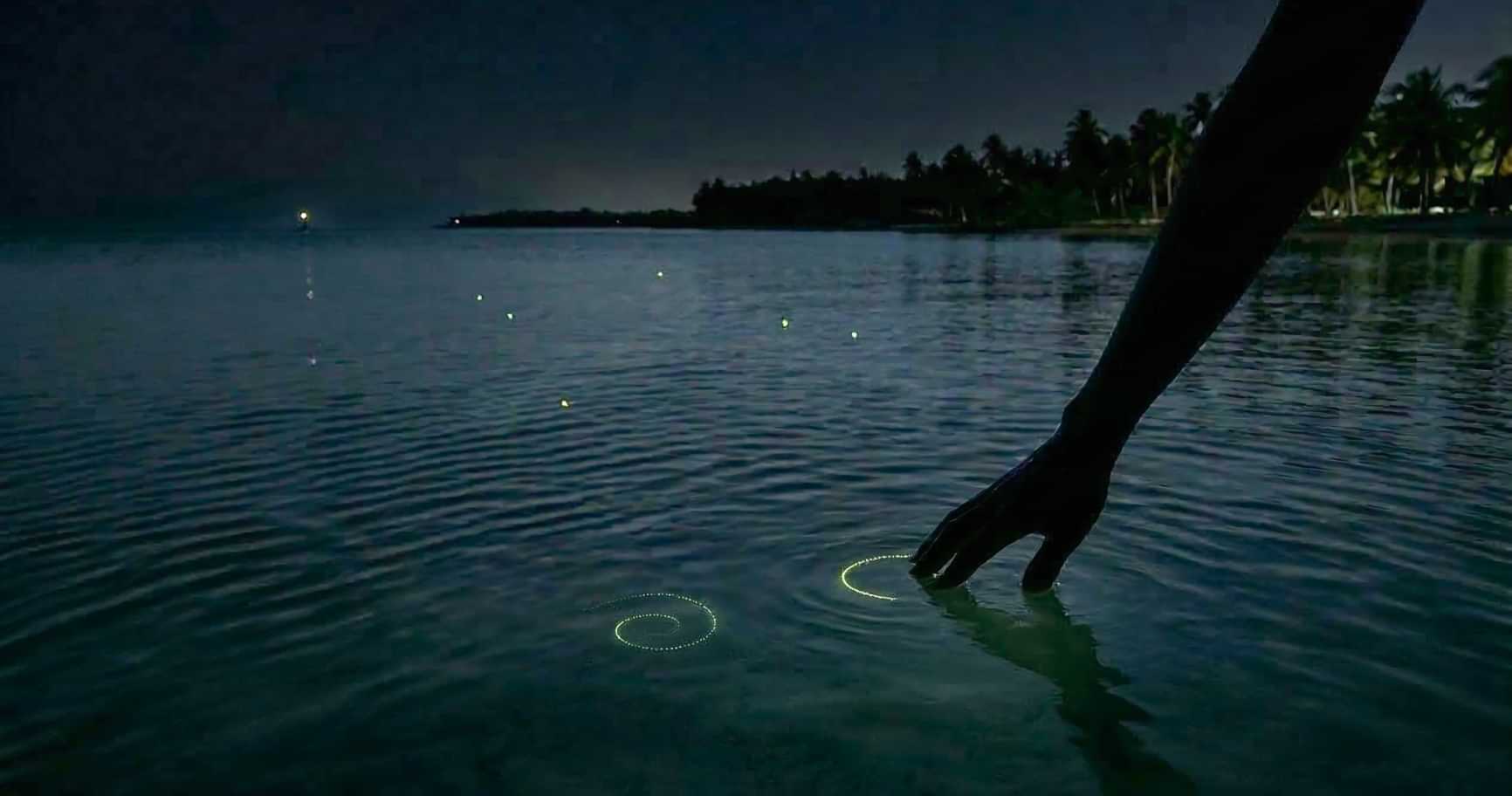 nighttime view of bio bay cayman islands with soft glowing light